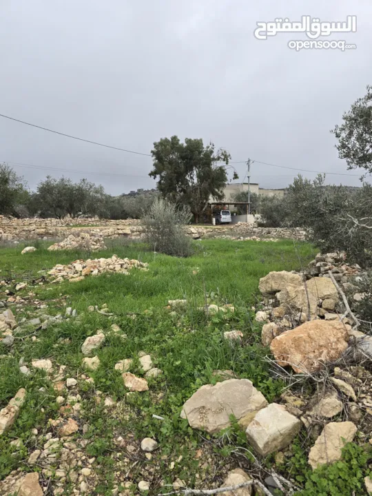 ارض للبيع تبعد عن الخط الرئسي 100 متر ارض ممتازه على شارعين وصلها جميع الخدمات