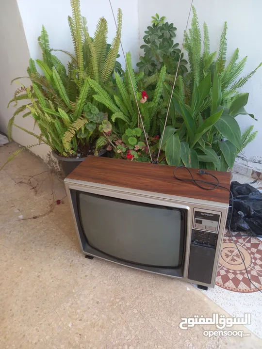 تلفزيون قديم انتيكا للبيع الموقع عمان جبيهه
