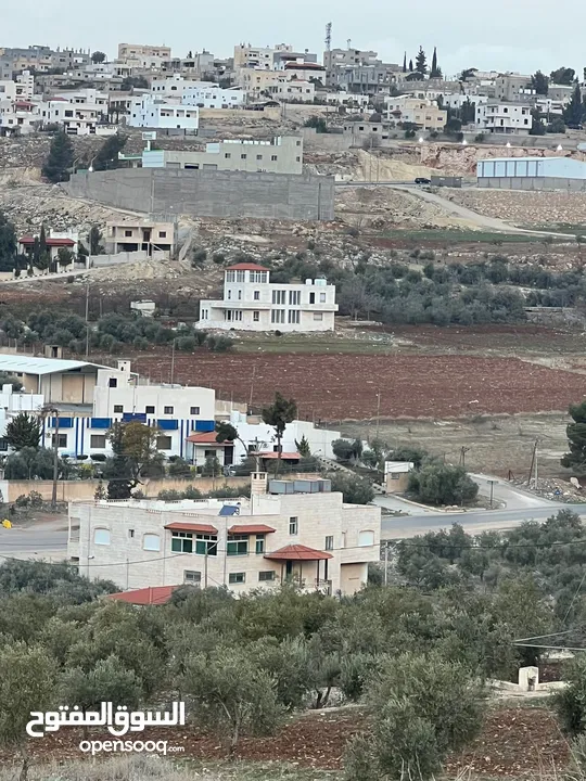 ارض للبيع سكنيه بجانب ترخيص جرش منبسطة مثل الكف بجانب فلل حديثه مساحة 800m مفروزه