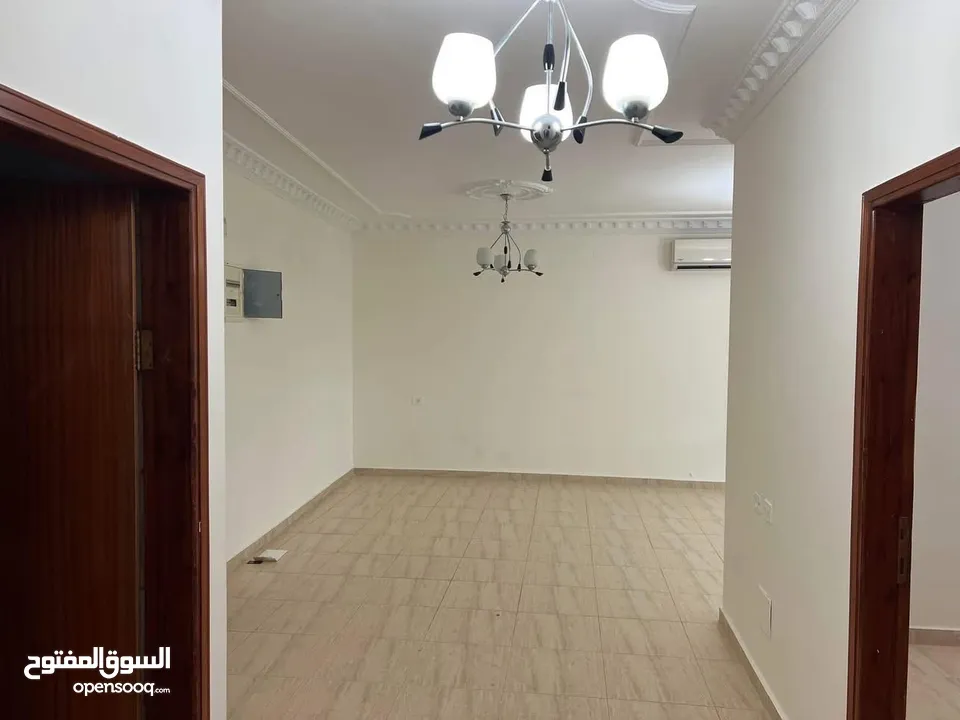 شقه فارغة للايجار في المصيون