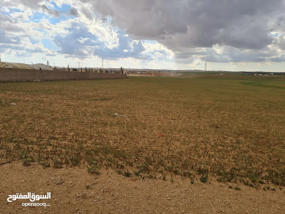 ارض للبيع في الصلاحيه 3907 م ارض مستويه