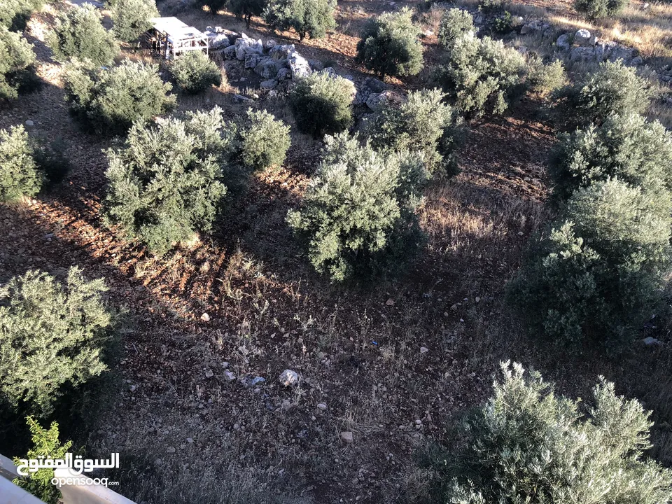 قطعة أرض مميزة في بدر الجديدة للبيع بسعر مغري تطل على المخابرات والمدينة الطبية دابوق