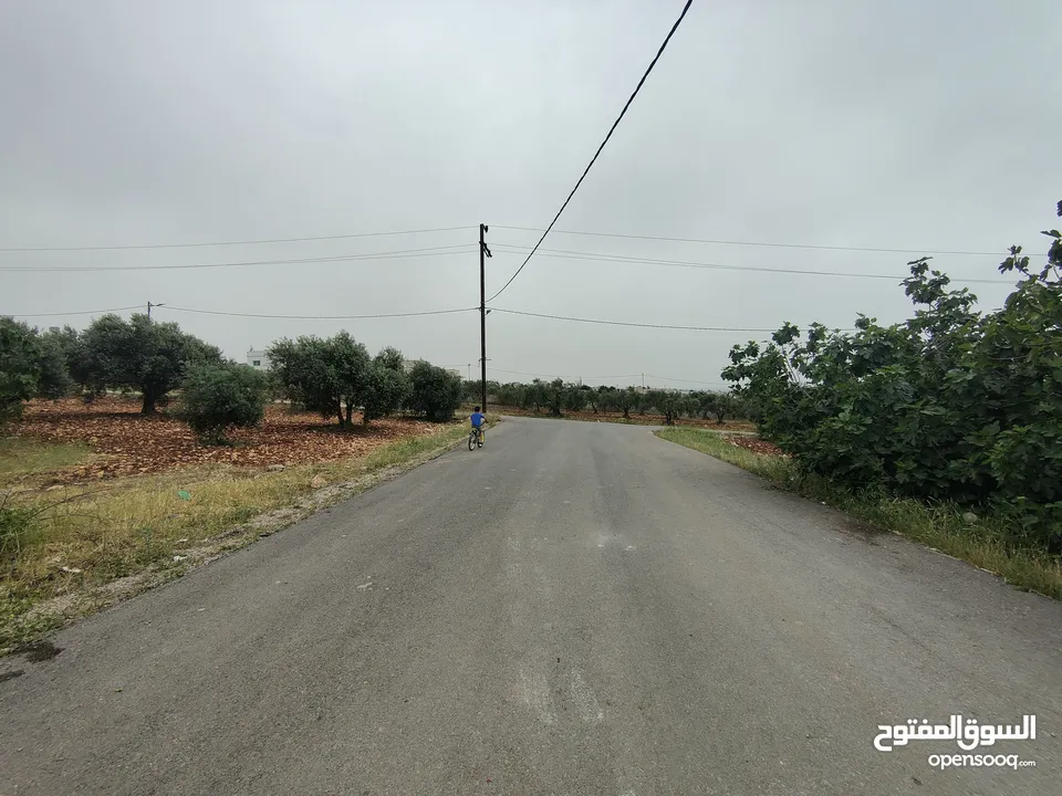 ارض سكنيه للبيع في مرو