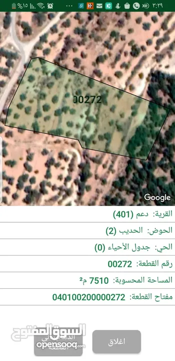 أرض زراعية في السلط منطقة دعم الغزالات  واد سلعوف حوض الحديب