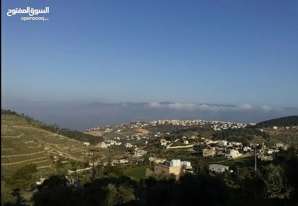 مزرعة شالية