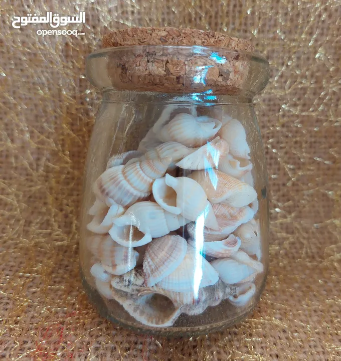 نثريات وانتيكا