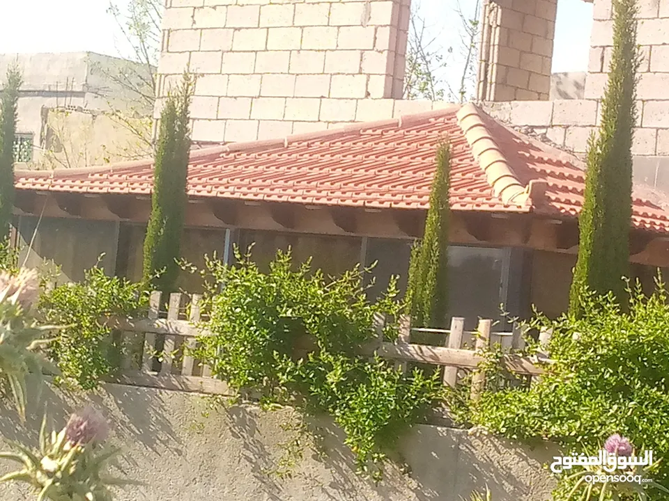 بيت مستقل للبيع في ام البساتين
