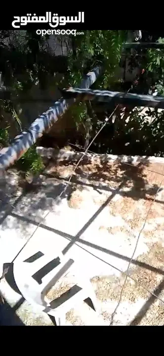 شقة للبيع طبربور