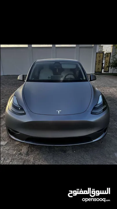 Tesla performance