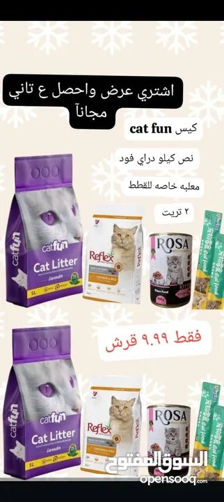 رملل قطط ومستلزمات قطط للبيع