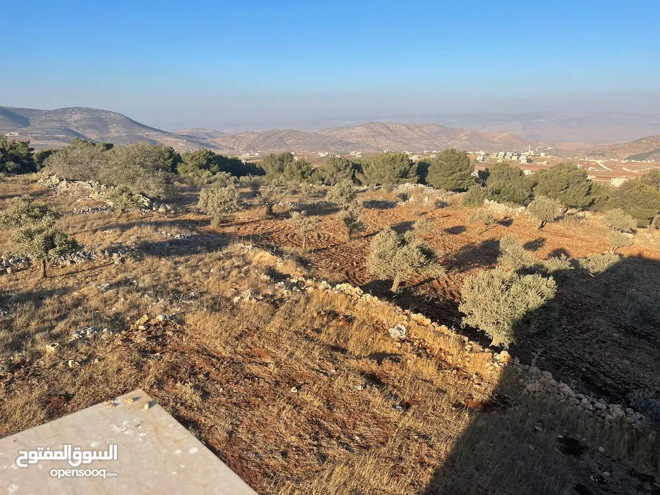 فيلا فاخرة على أرض 2000م تصنيف أ A, طابو – زاوية شارعين + مجلس ضيوف مستقل في طوباس