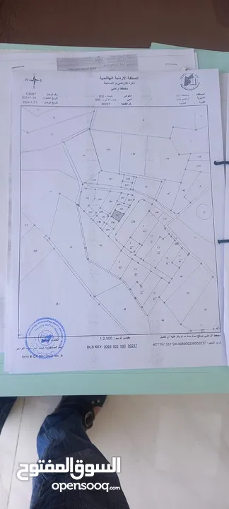 ارض مميزه للبيع في ذيبان