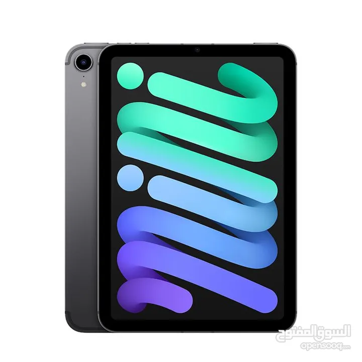 IPad mini 6