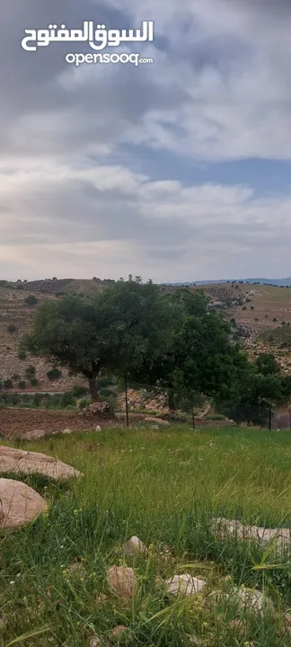 الكمشه حوض المكمان 3405 م على شارعين اطلاله شماليه غربيه رائعه مستصلحه ومسوره قرب الخدمات