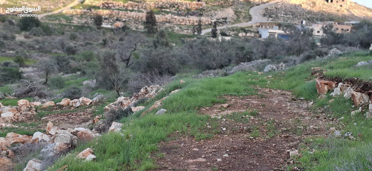 800متر طابوا فلسطيني في اجمل موقع بالكفريات واطلالة مميزةمنطقة( b)صالحة للبناء