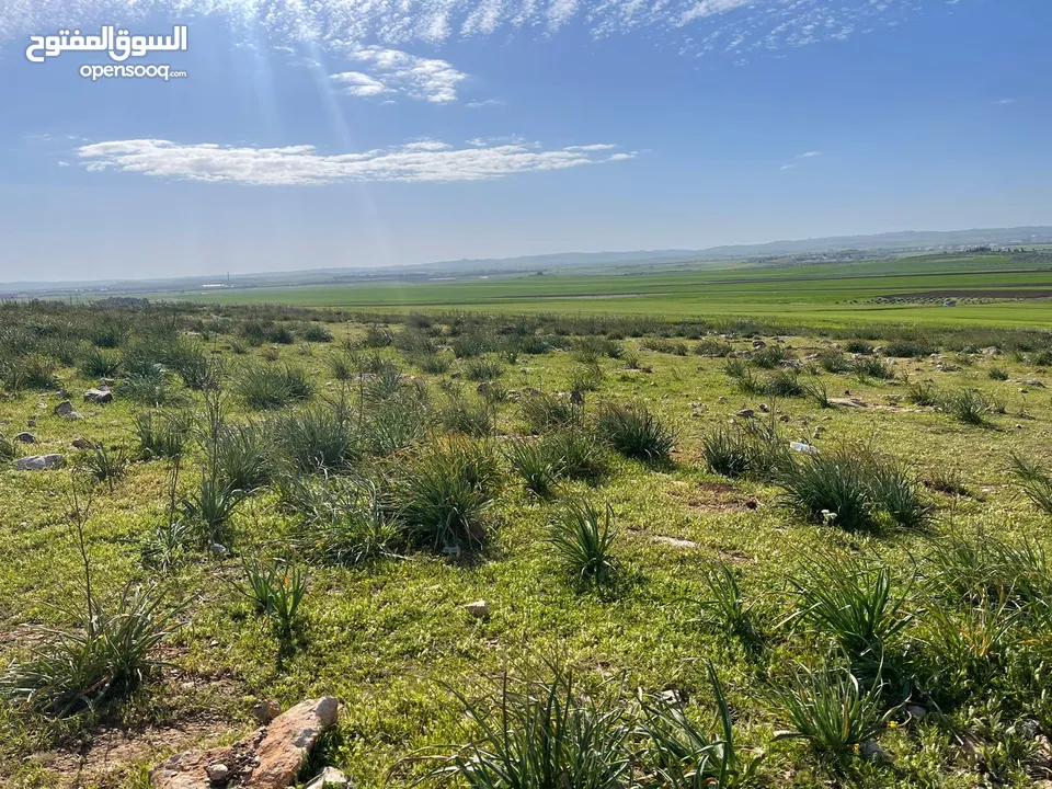 ارض للبيع حوض الجبيل وارض حوض ام الابار جنوب شارع الصوامع وقرب مدارس الجسور متوفر اكثر من قطعة
