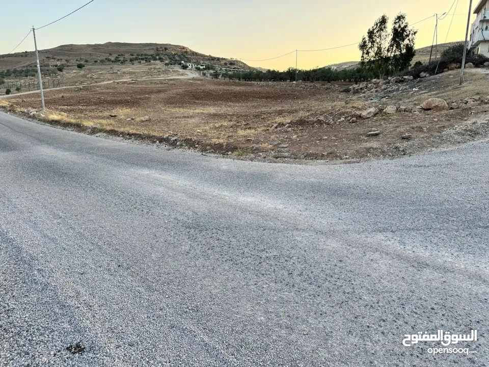 ارض للبيع مساحه 6 دونم و 400 متر النعيمه مستصلحه واصل كهرباء على شارع معبد 10 متر وقريبه من الخدمات