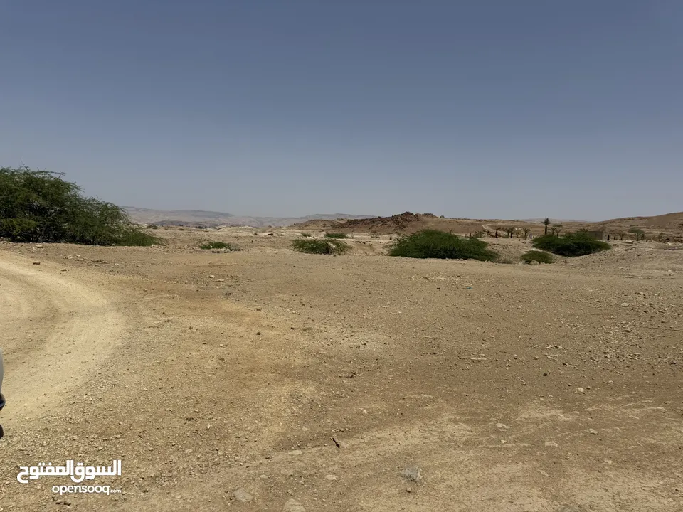 للبيع ارض في منطقة البحر الميت