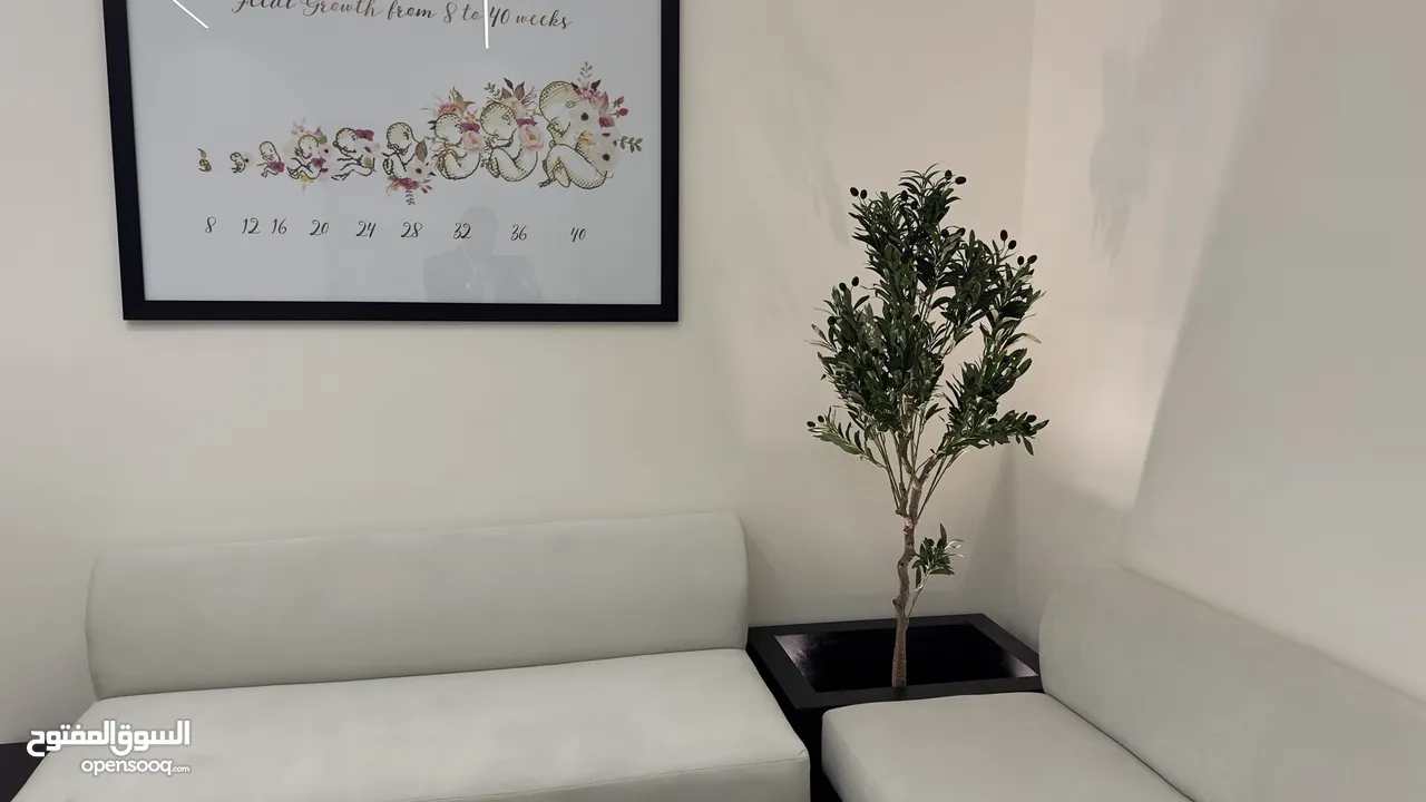 اثاث استراحة ( كورنر انيق جدا مع كاونتر و كرسي)لعيادة او مركز صحي مودرن فاخر جدا و جودة عالية