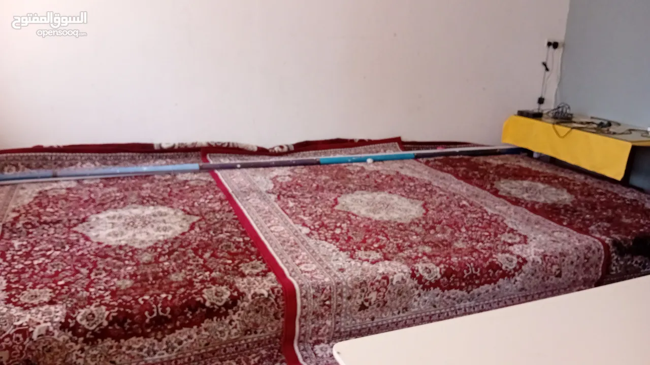 Rent of rug/إيجار البساط