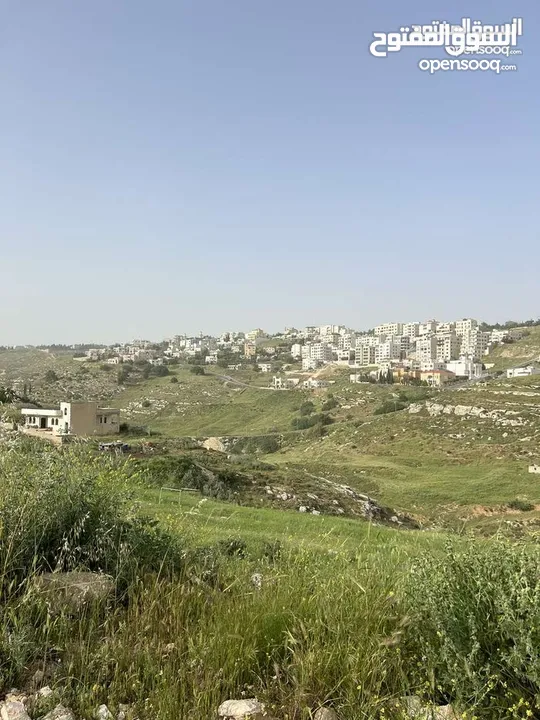 غرب عمان بدر الجديدة قرب دابق