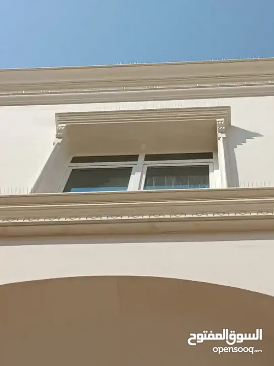 طارد الحمام والطيور