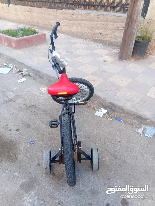 عبد الودود سفيان يبيع بسكليت