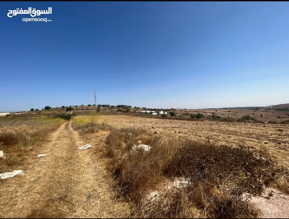 قطعة ارض زراعية مرتفعة خلف جامعة عجلون الوطنية ، بافضل اطلاله في عجلون - من المالك وبسعر مغري