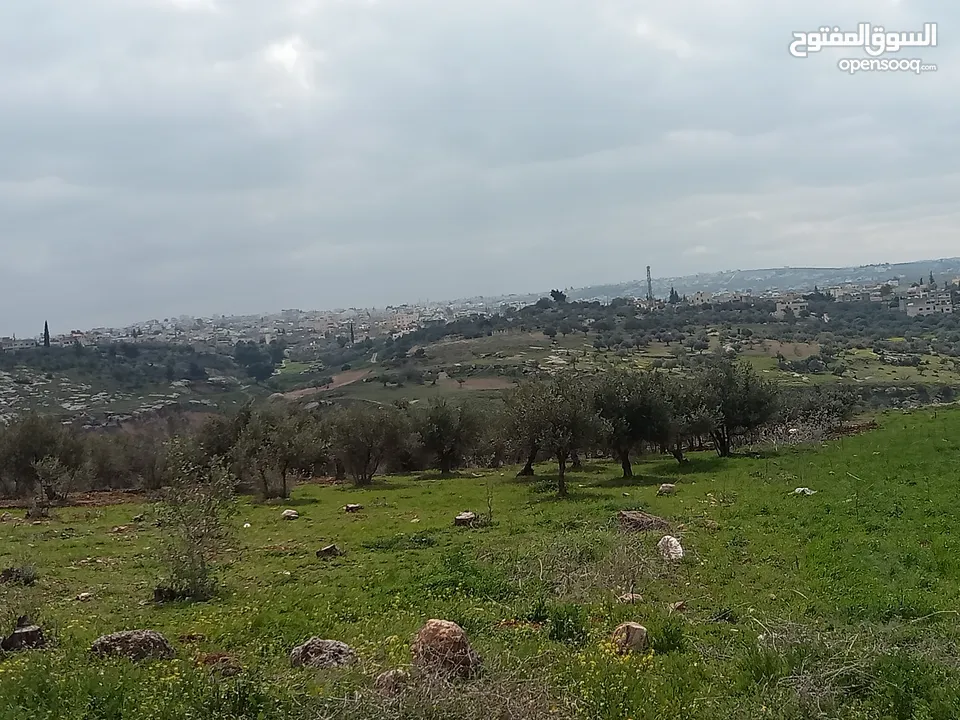 ارض سكنيه قرب مثلث حور فوعرا للبيع بسعر مغري