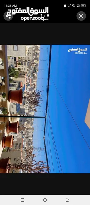 شقه شبه ارضي موقع مميز جدا وقريب من جميع الخدمات الحيوية خلف عريفة مول قرب سوبرماركت ايهاب الغرابلي