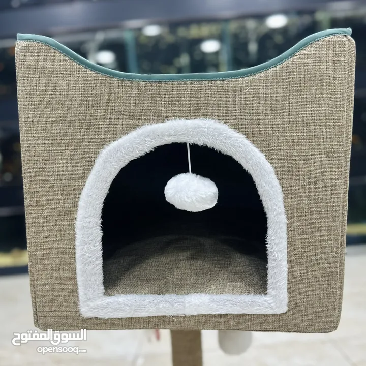 بيوت مع خداشات للقطط