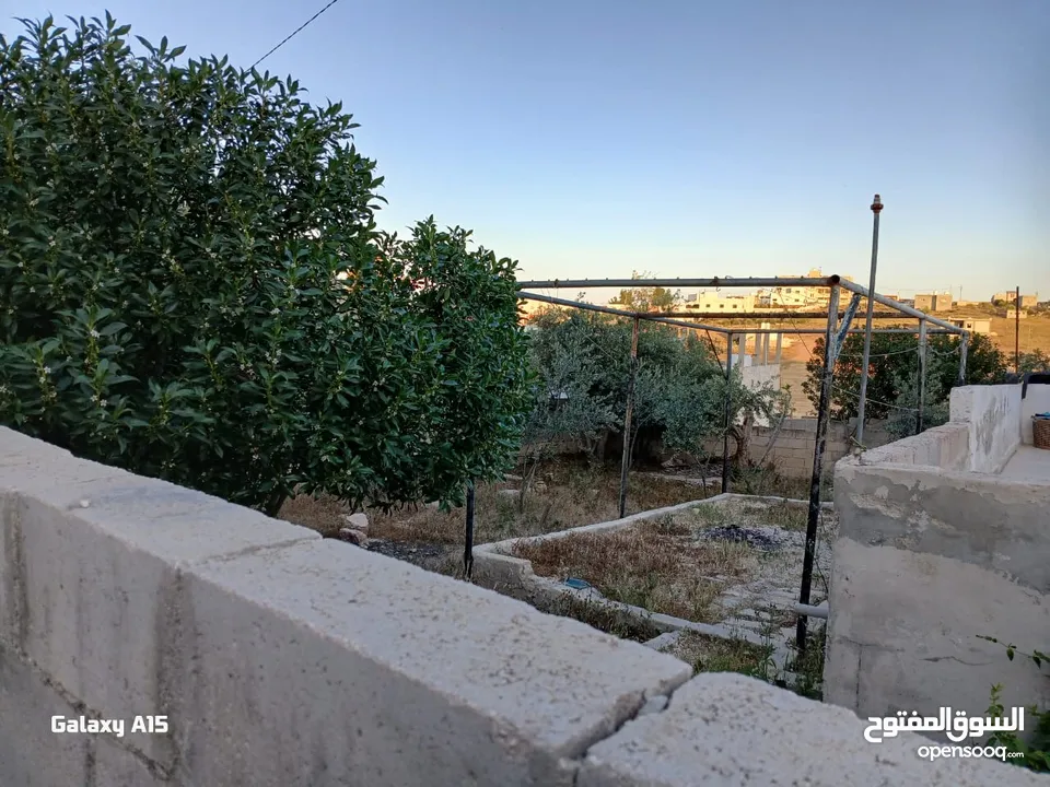 منزل للبيع المفرق بلعما الزيتونه واصل جميع الخدمات منطقة الزيتونة قريب من شارع اوستراد اربد الزرقاء