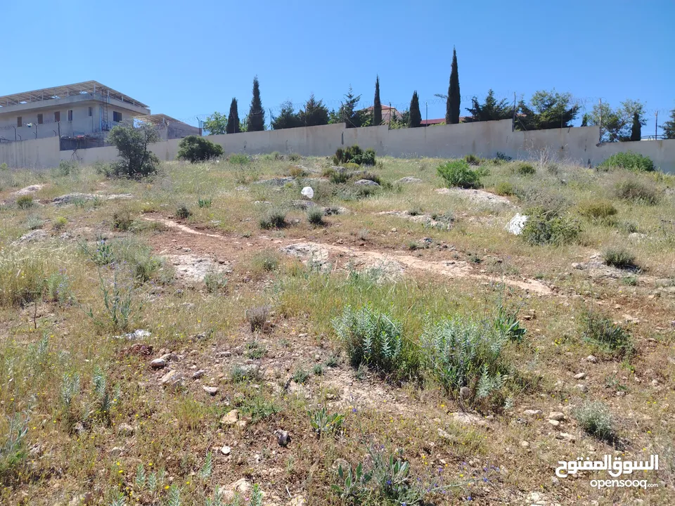 2300 م السلط المغاريب قطعة ملوكية تصلح ل فيلا او مزرعة اطلالة ع الغرب و جبال فلسطين