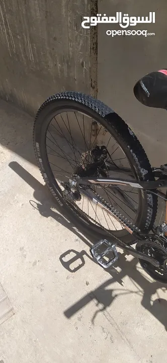 بسكليت نص جبلي نو عيه Rook