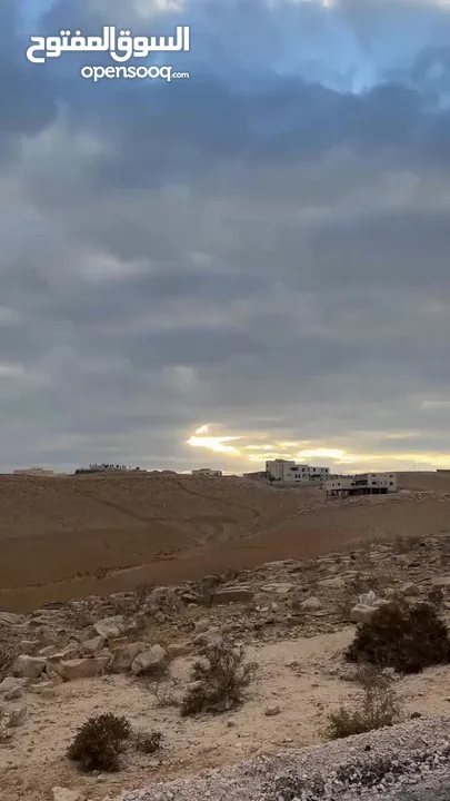 هوندا سيفيك 2003 فحص كامل