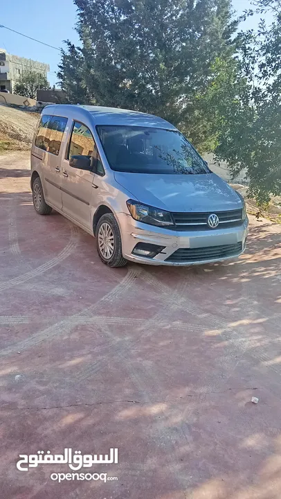 كادي 2016 يد 1