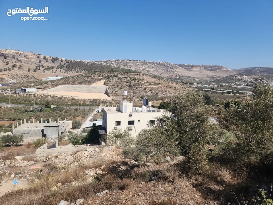 حصة في منطقة المشتل