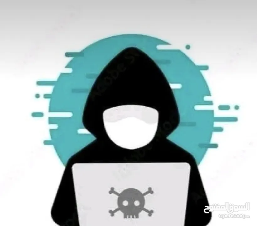 انظمة حماية شبكية