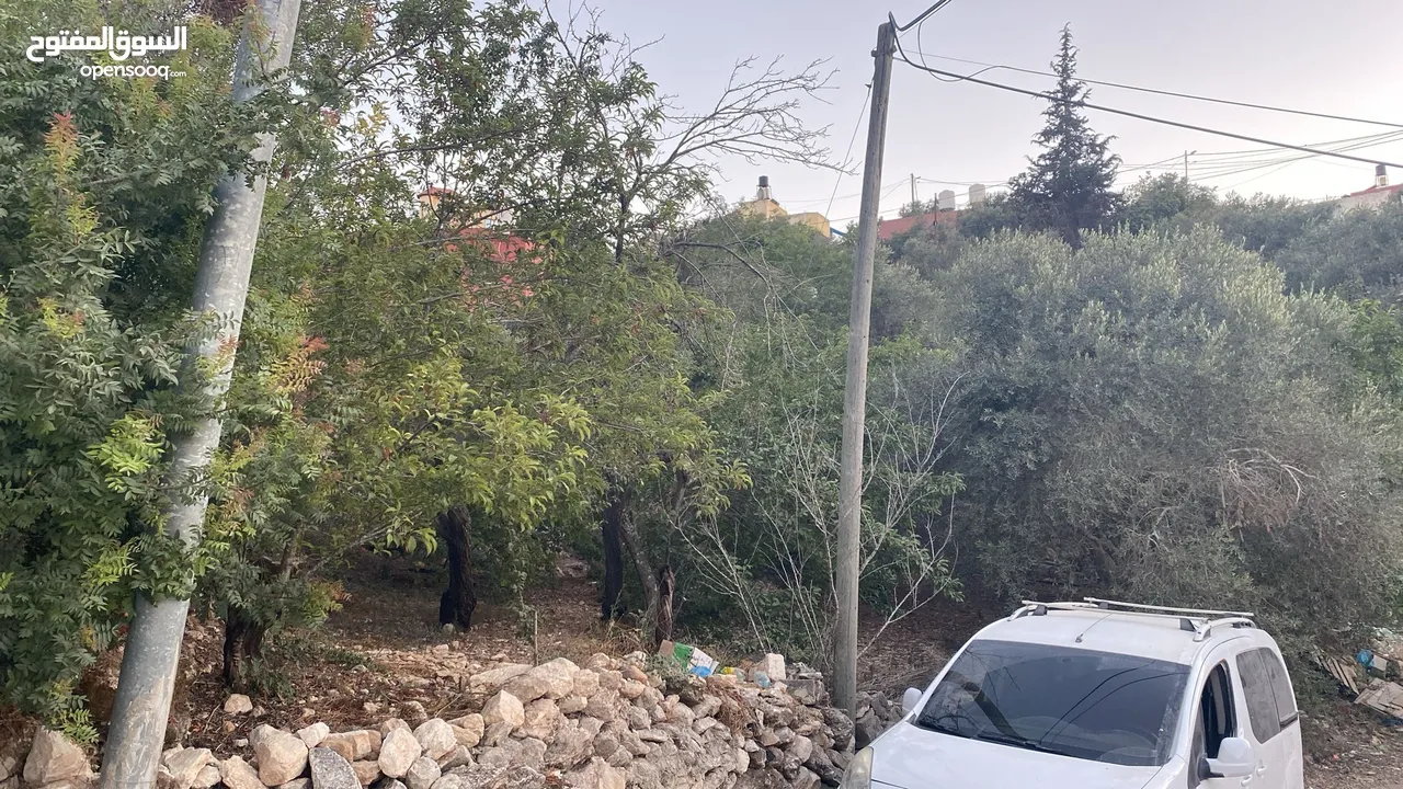 ارض مساحة 200 متر بسعر لا يعوض