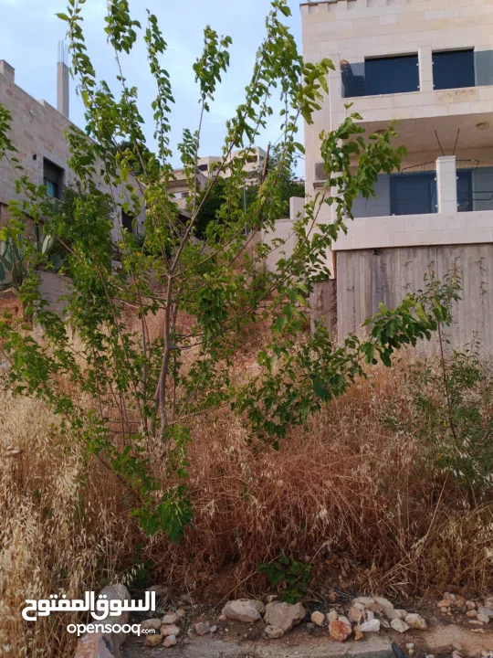 منزل دوبليكس للبيع في بتير