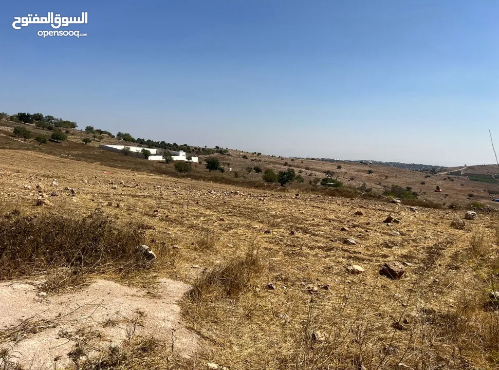 قطعة ارض زراعية مرتفعة خلف جامعة عجلون الوطنية ، بافضل اطلاله في عجلون - من المالك وبسعر مغري