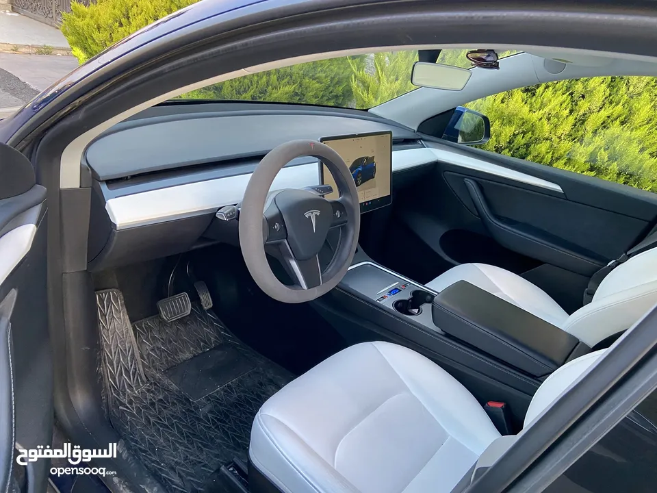 Tesla Model Y Dual Motor
