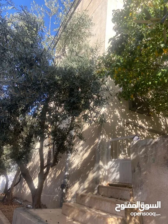 منزل للبيع
