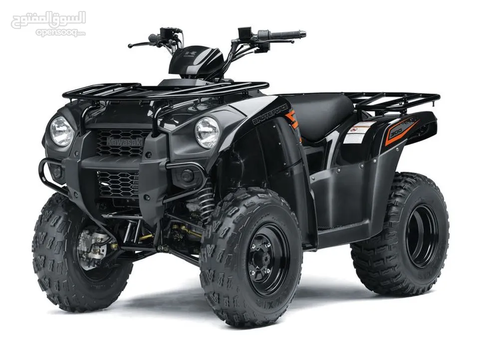 Kawasaki BRUTE FORCE 300
