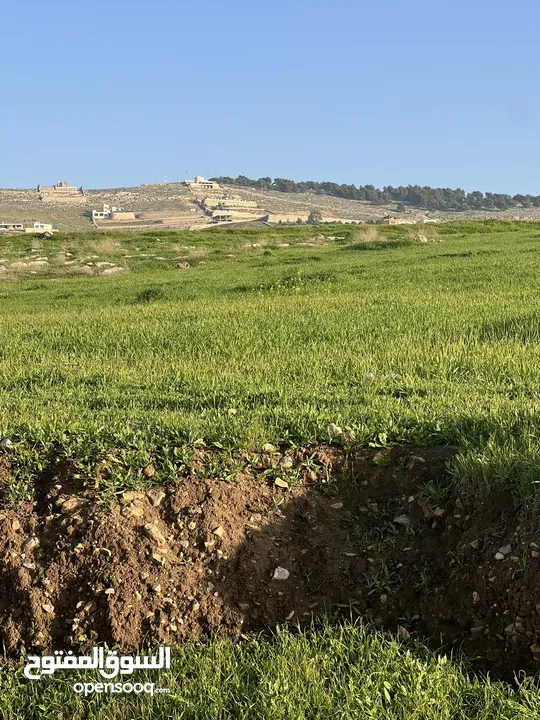ارض للبيع جرش عنيبه بقوشان مستقل 3500متر مفروزه بقوشان مستقل اطلاله مميزه جدا جدا