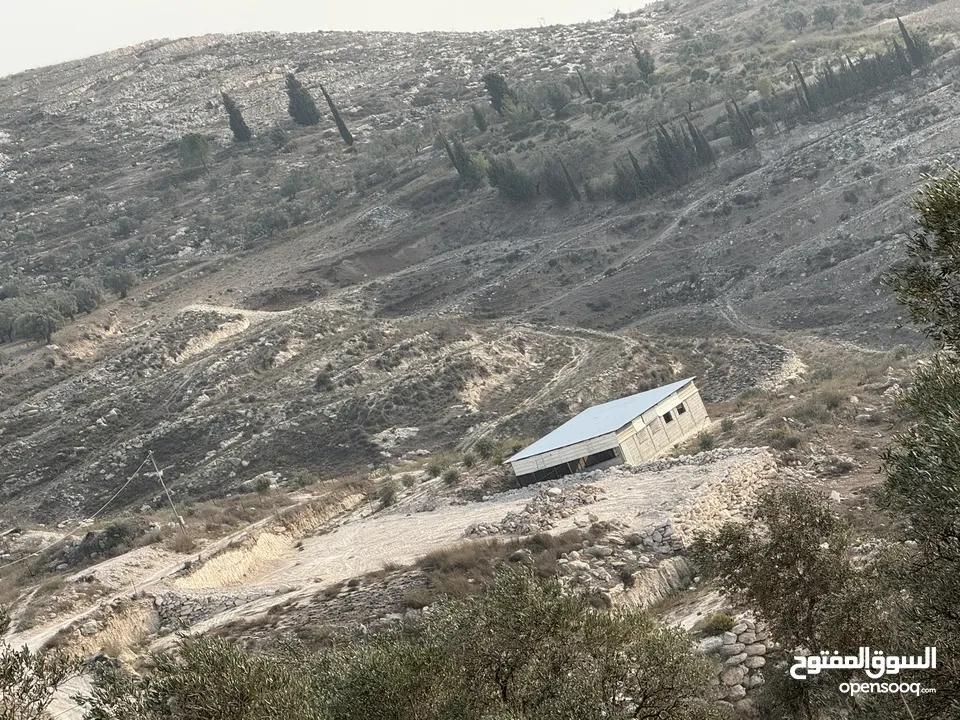 ارض للبيع(عقار)