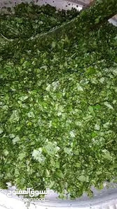 ملوخيه مغسله ومنقبه فرم ناعم جاهزه للطبخ وللتفريز وموجود ناشفه مفروكه وناعمه بدون عيدان مغسله