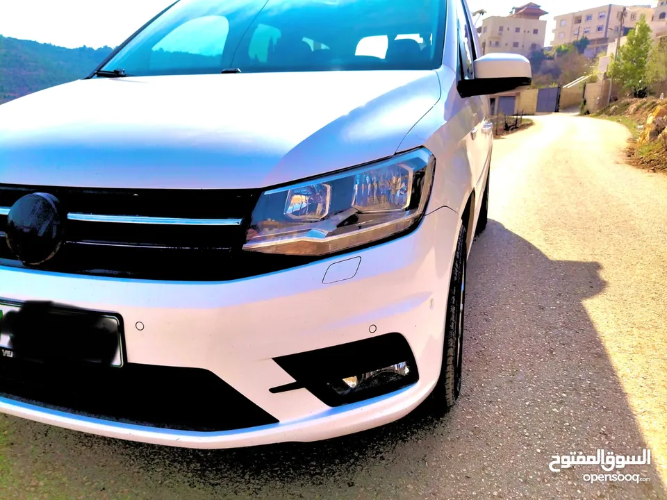 كادي 2020 شصي طويل فحص نخب النخب فل الفل