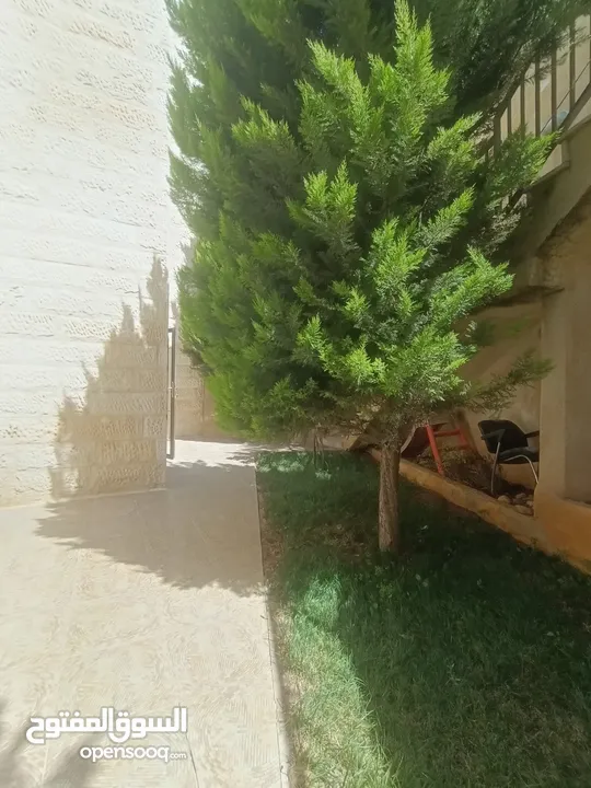 دابوق ـ شقه فارغه للايجار مجدده بالكامل ـ ارضيه مدخل خاص حديقه 150 متر