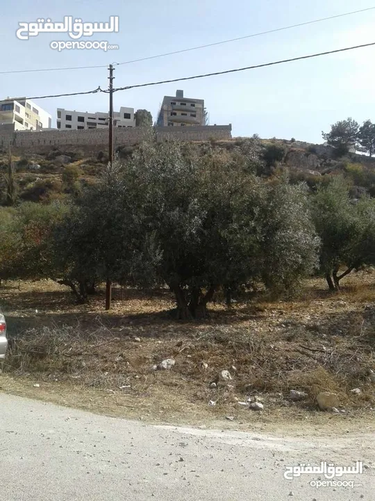 ارض مميزة مطلة ابو السوس غرب عمان عدة قطع في المنطقة.